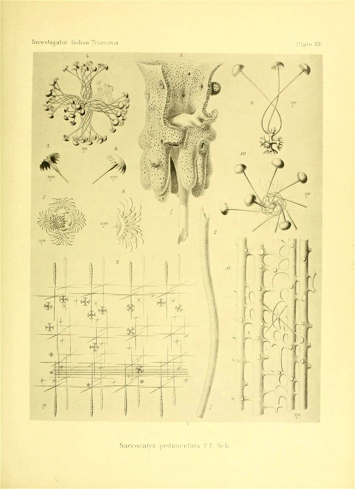 n176_w1150