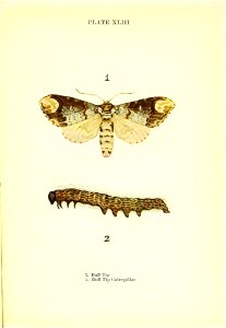 n184_w1150