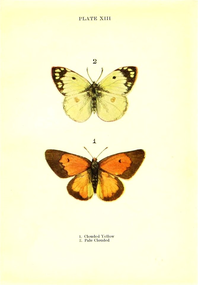 n68_w1150