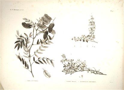 n39_w1150