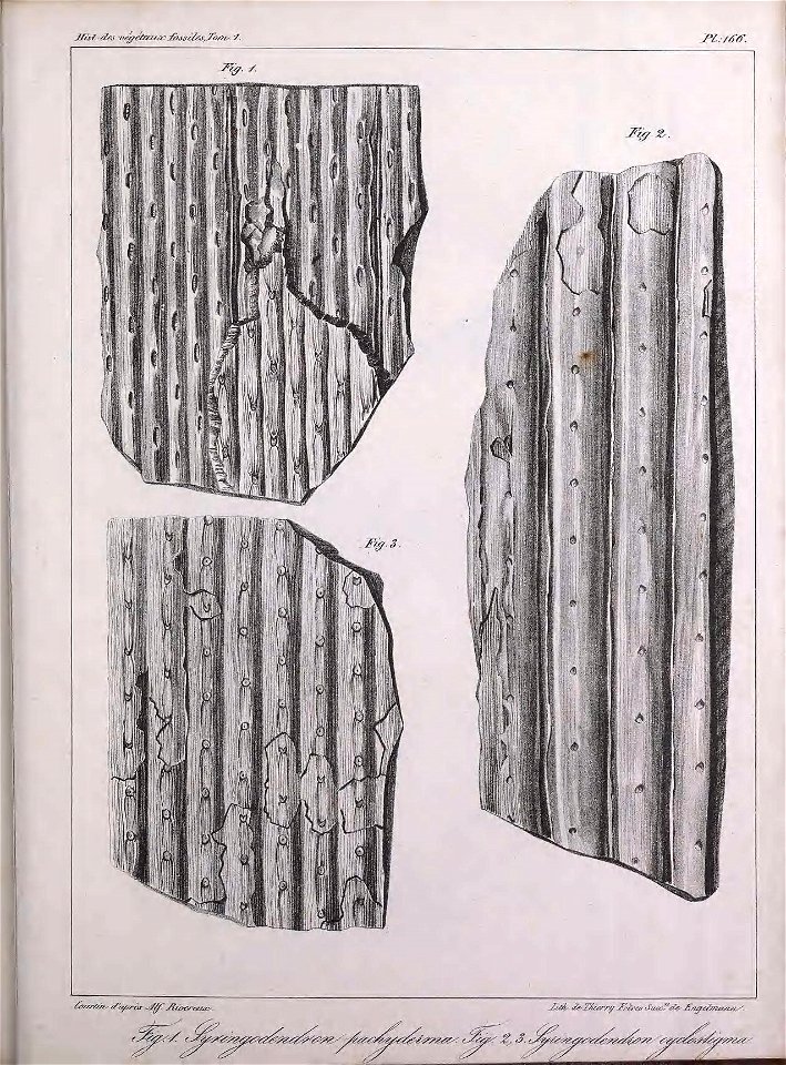 n432_w1150