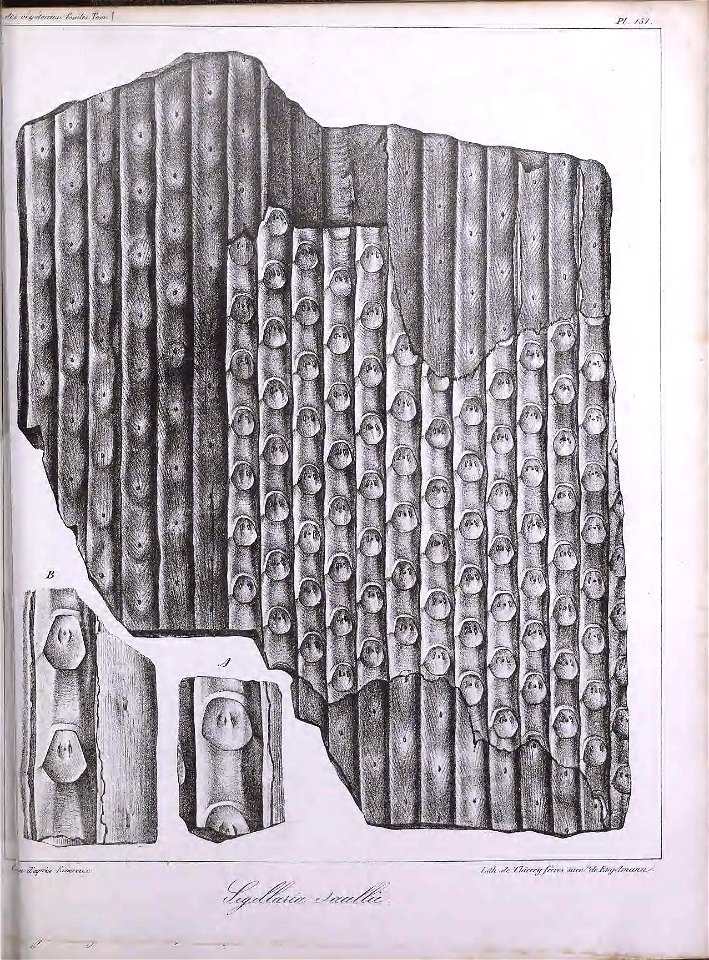 n402_w1150