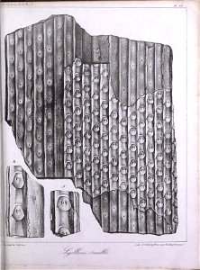 n402_w1150