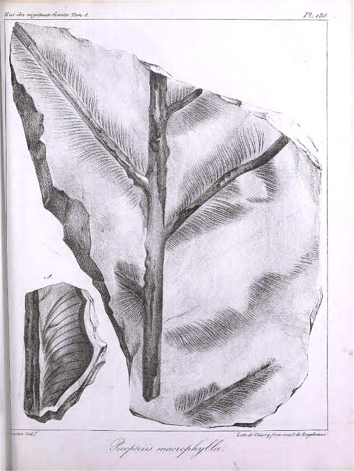n372_w1150