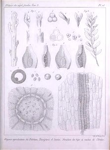 n458_w1150
