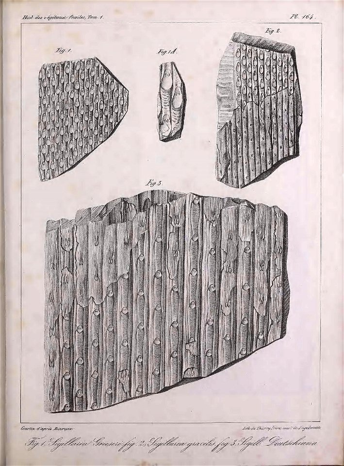 n428_w1150