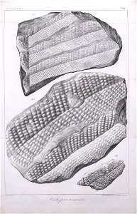 n368_w1150