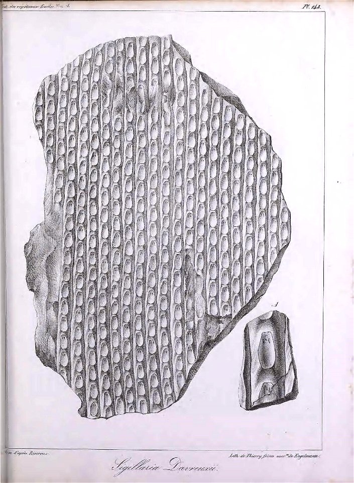 n396_w1150