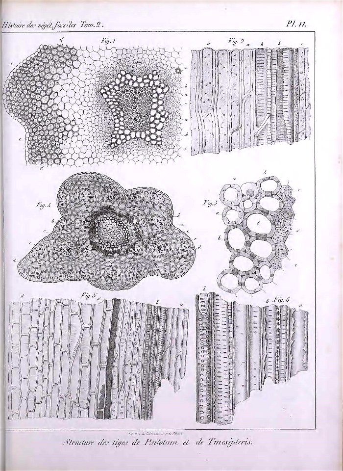 n454_w1150