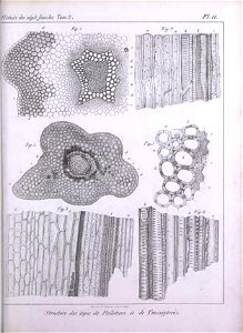 n454_w1150