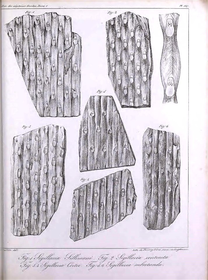 n394_w1150