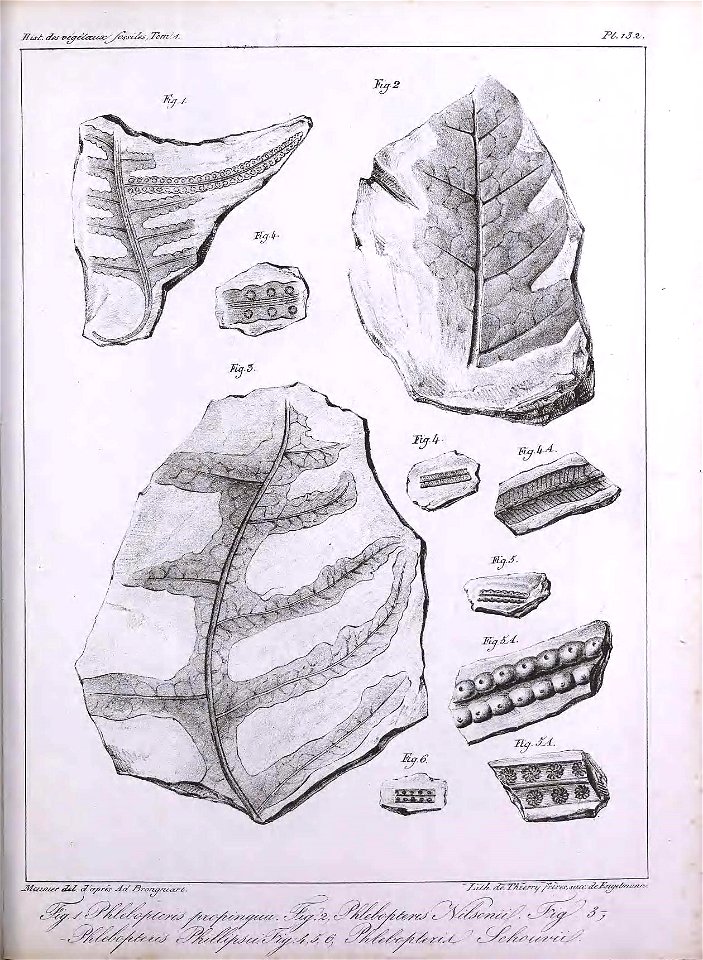 n364_w1150
