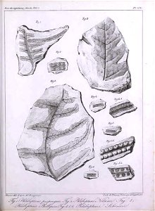 n364_w1150