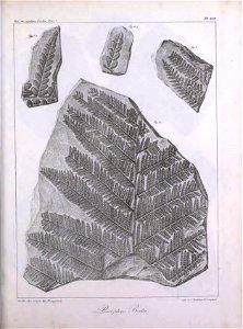 n334_w1150