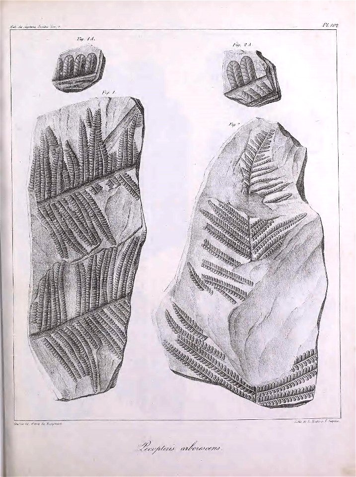 n304_w1150