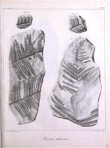 n304_w1150