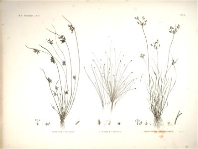 n18_w1150