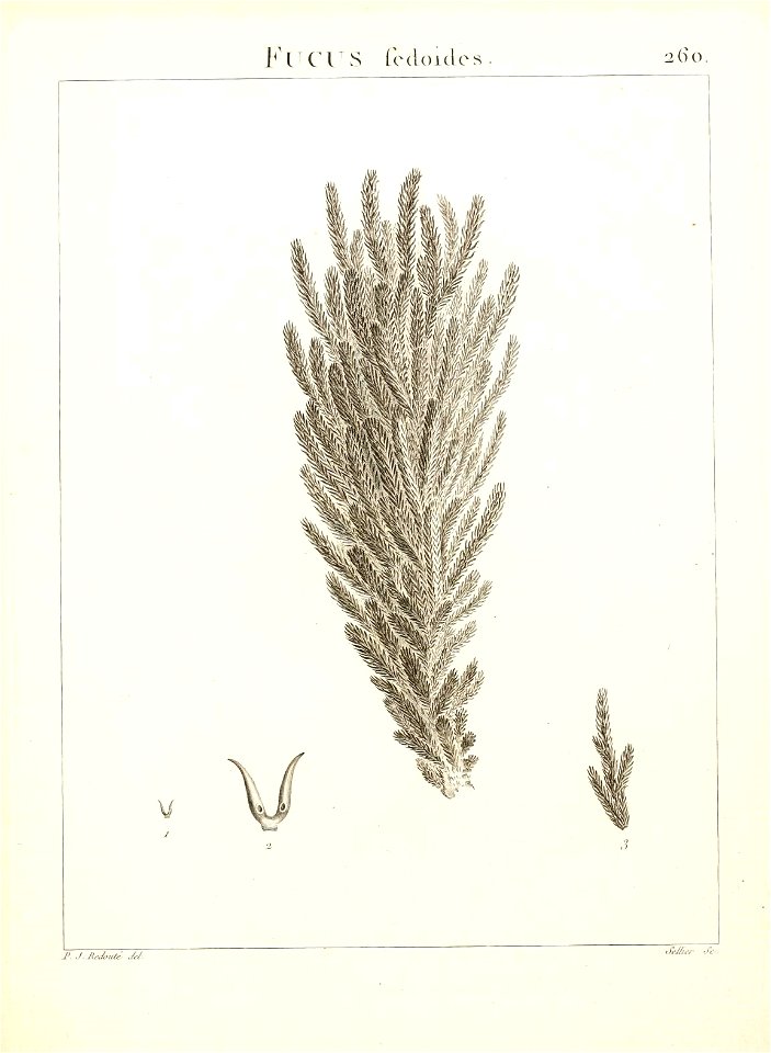 n290_w1150