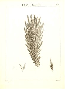 n290_w1150