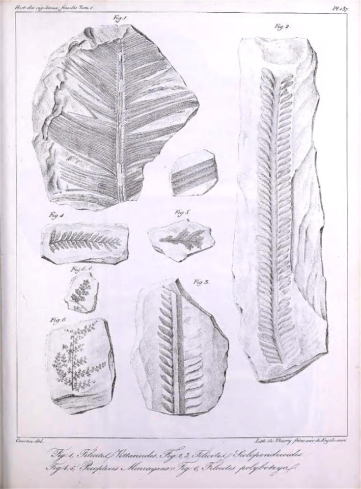 n374_w1150