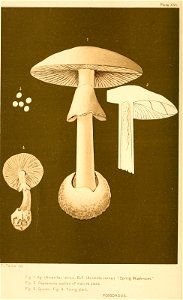 n181_w1150