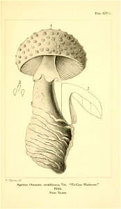 n172_w1150