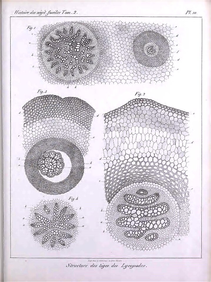 n452_w1150