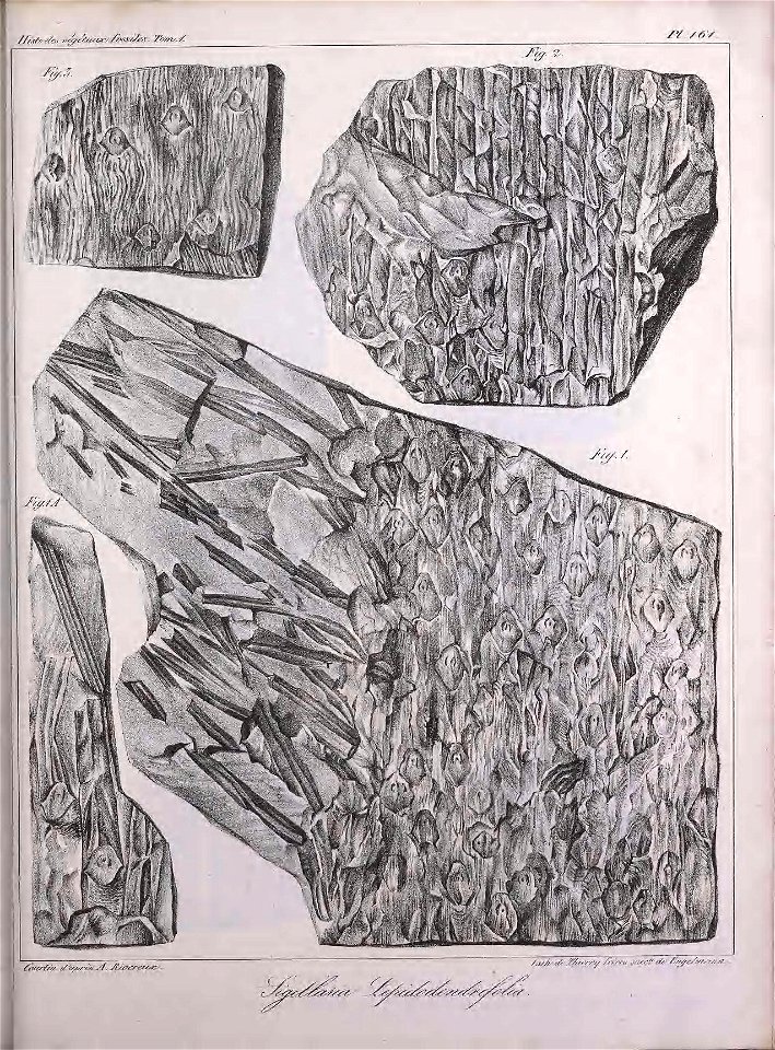 n422_w1150