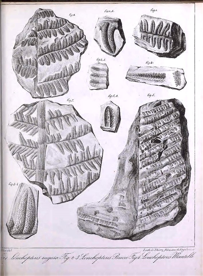 n362_w1150