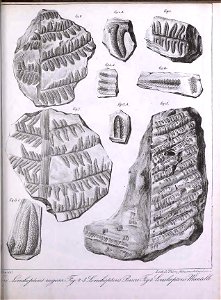 n362_w1150