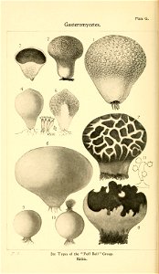 n127_w1150