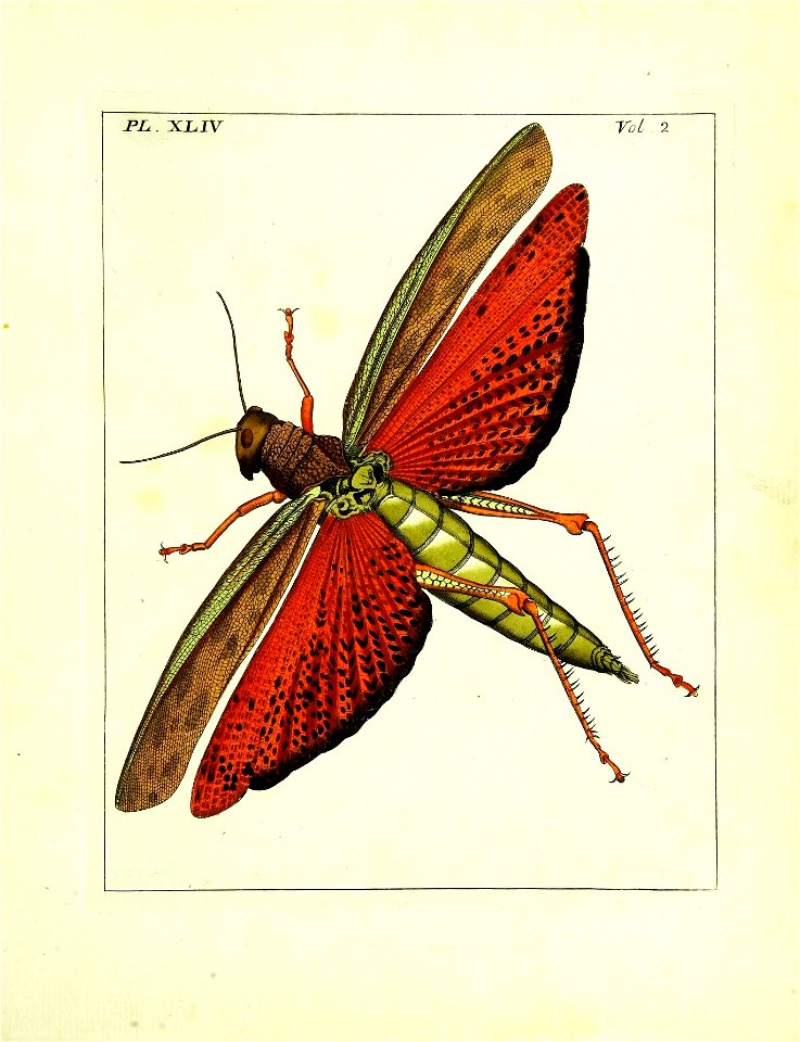 n194_w1150