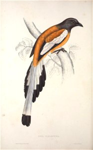 n181_w1150