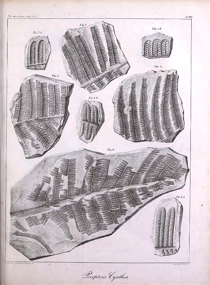 n302_w1150