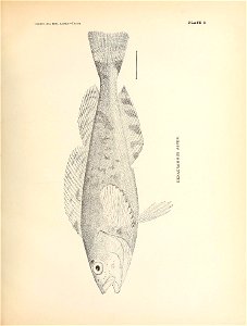n114_w1150