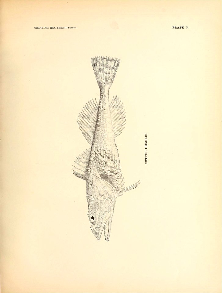 n112_w1150