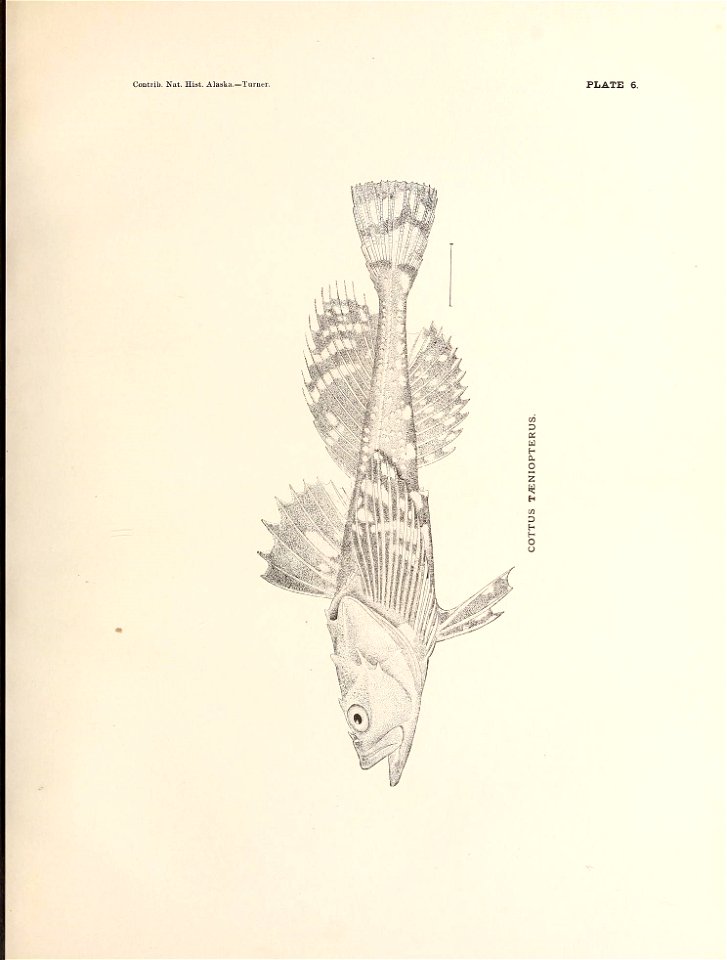 n110_w1150