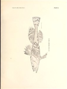 n110_w1150