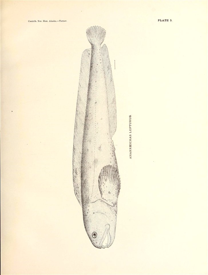 n106_w1150