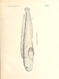 n106_w1150