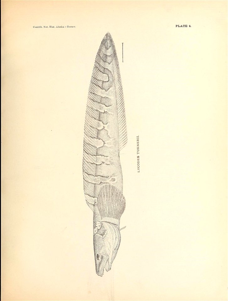 n104_w1150