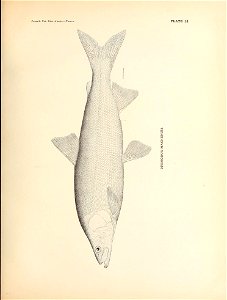 n130_w1150