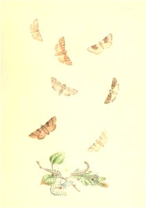 n302_w1150