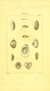 n194_w1150