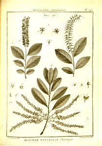 n149_w1150