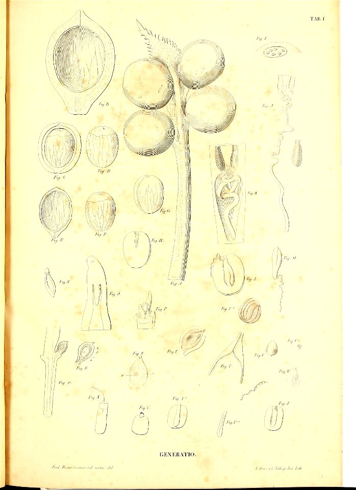 n94_w1150