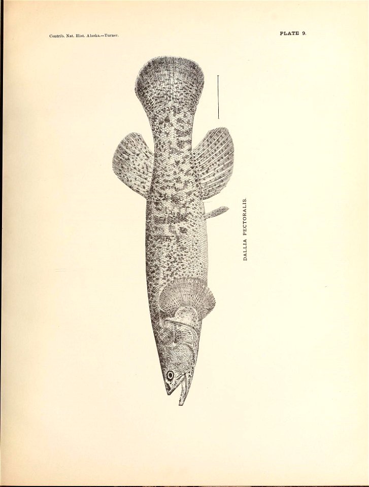 n122_w1150