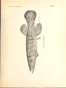 n122_w1150