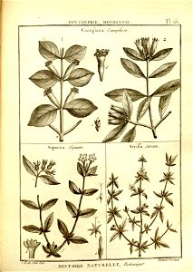 n153_w1150