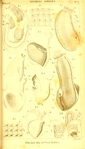 n270_w1150